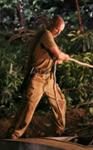 John Locke (Terry O'Quinn), <i>Lost</i> John Locke (Terry O'Quinn), <i>Lost</i>