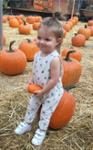 Ryan Rosenberg - Hailey Duff Ryan Rosenberg - Hailey Duff