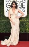 Amy Landecker Amy Landecker