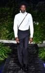 Cheikh Tall Cheikh Tall