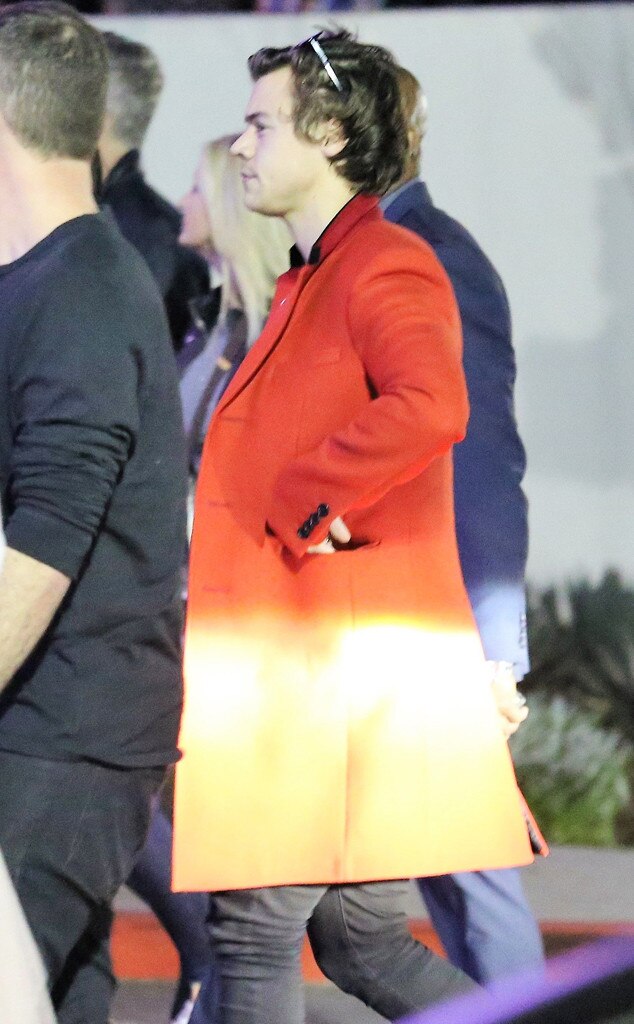 Harry Style di konser The Kings of Leon, Los Angeles | Foto: Nichole/X17online.com