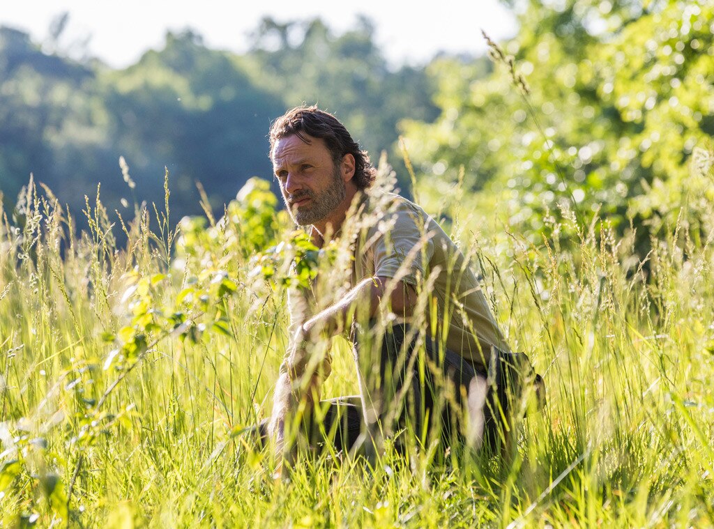 The Walking Dead Season 8, Andrew Lincoln