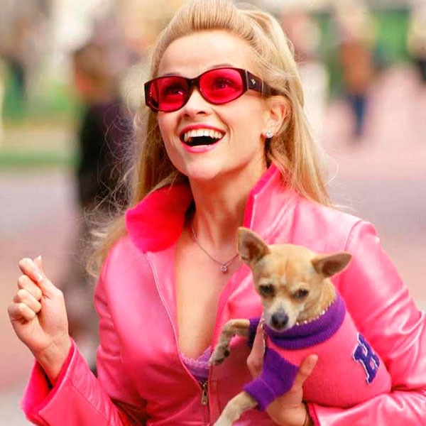 Reese Witherspoon, Legally Blonde