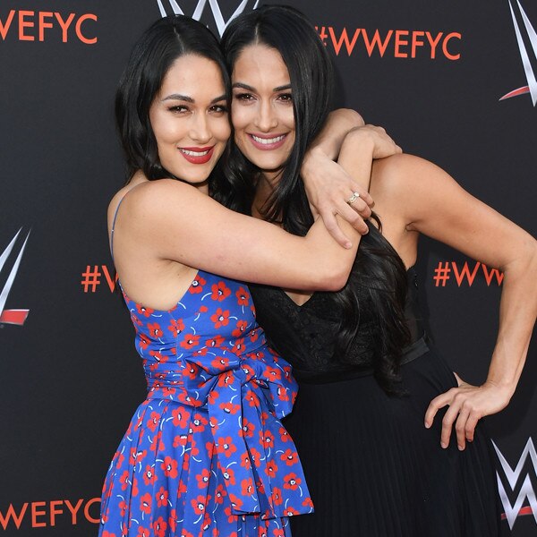 Total Divas’ Brie Bella and WWE Superstar Daniel Bryan Are Married—See ...