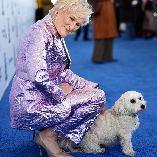 Glenn Close, dog, 2019 Film Independent Spirit Awards