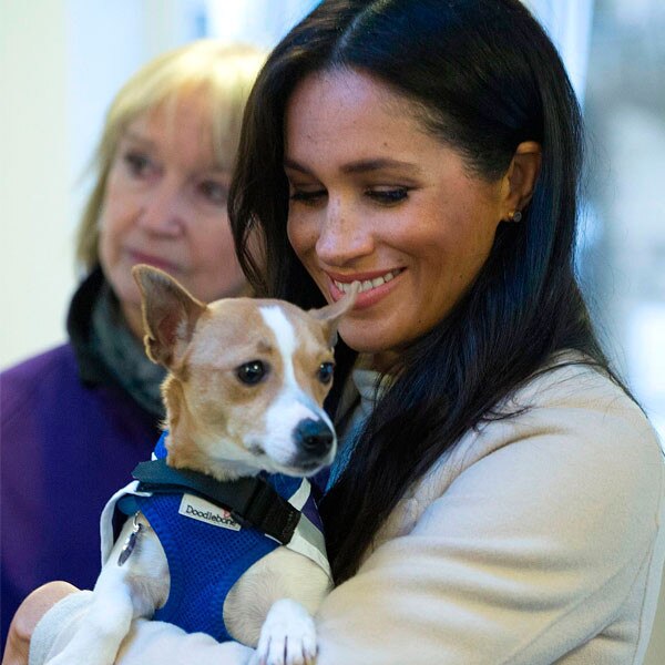 Meghan Markle