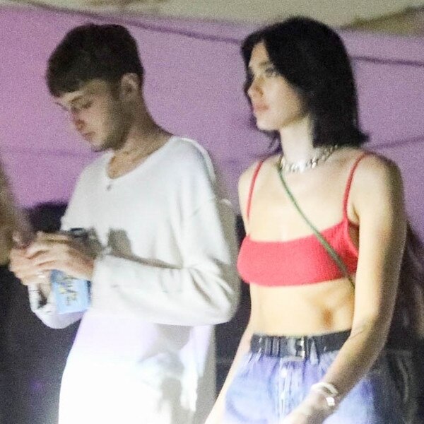 Dua Lipa, Anwar Hadid