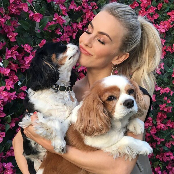 Julianne Hough, Dogs