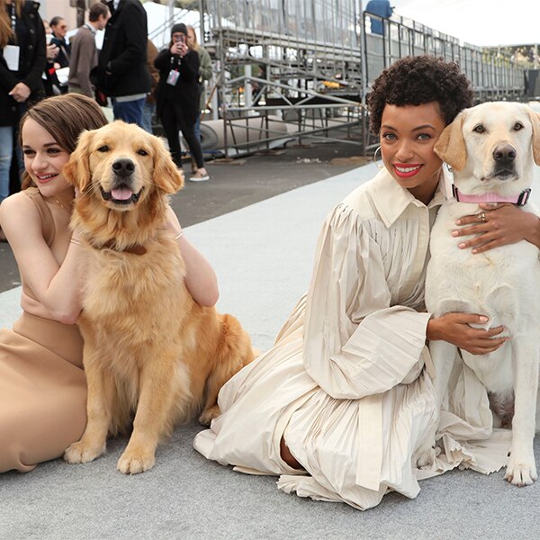 SAG Awards Red Carpet Roll Out, Joey King, Logan Browning, Dogs