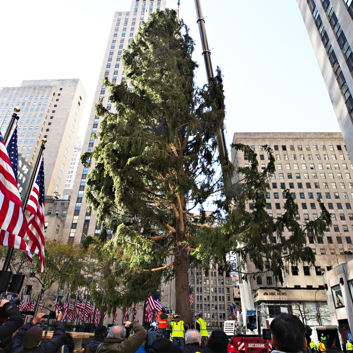 Rockefeller Christmas Tree, Christmas Tree, 2020