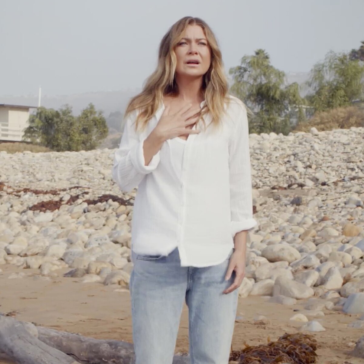 Grey's Anatomy, Ellen Pompeo