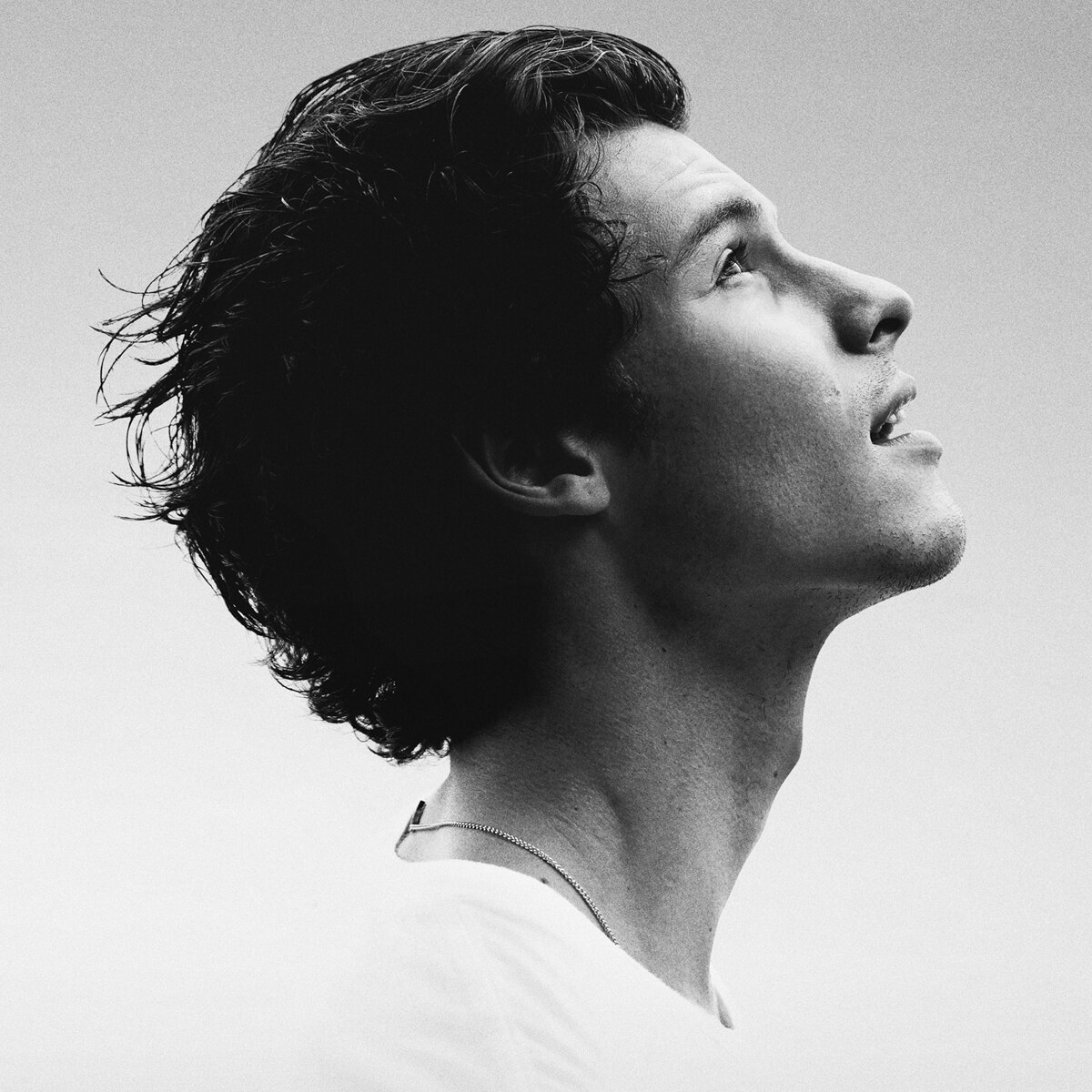 Shawn Mendes, In Wonder