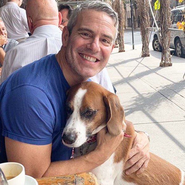 Andy Cohen, Wacha, Instagram