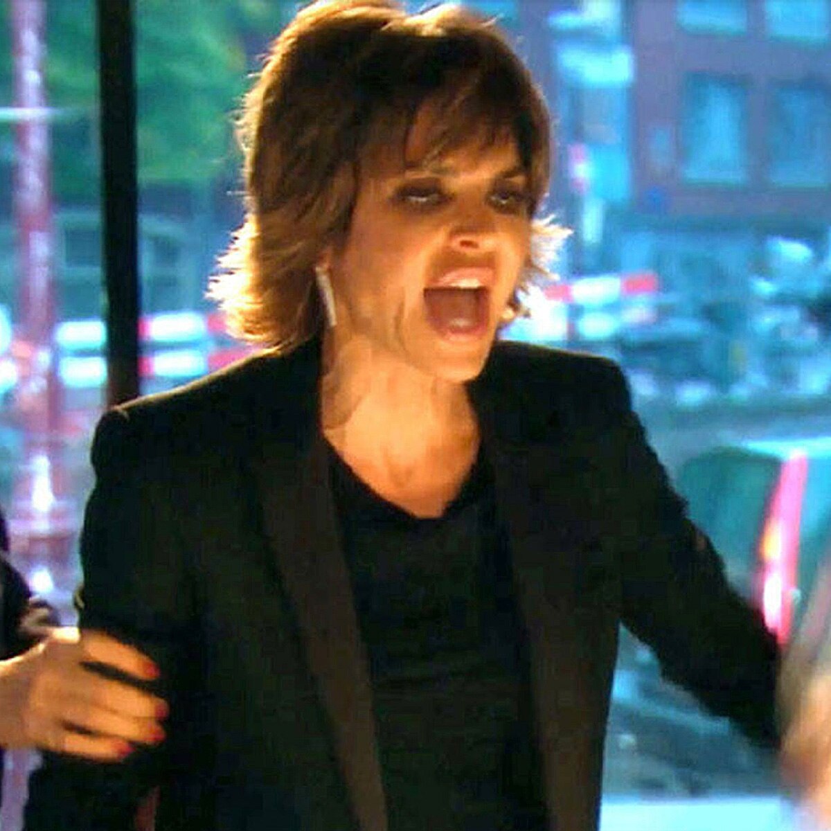Real Housewives of Beverly Hills, Lisa Rinna, fights
