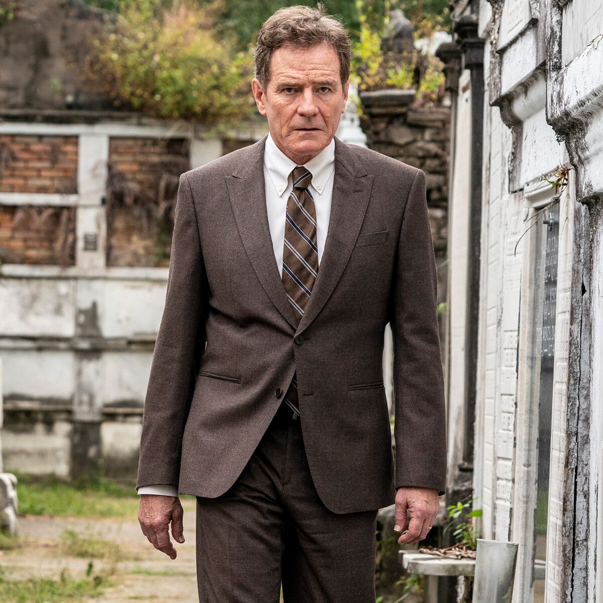 Bryan Cranston, Your Honor