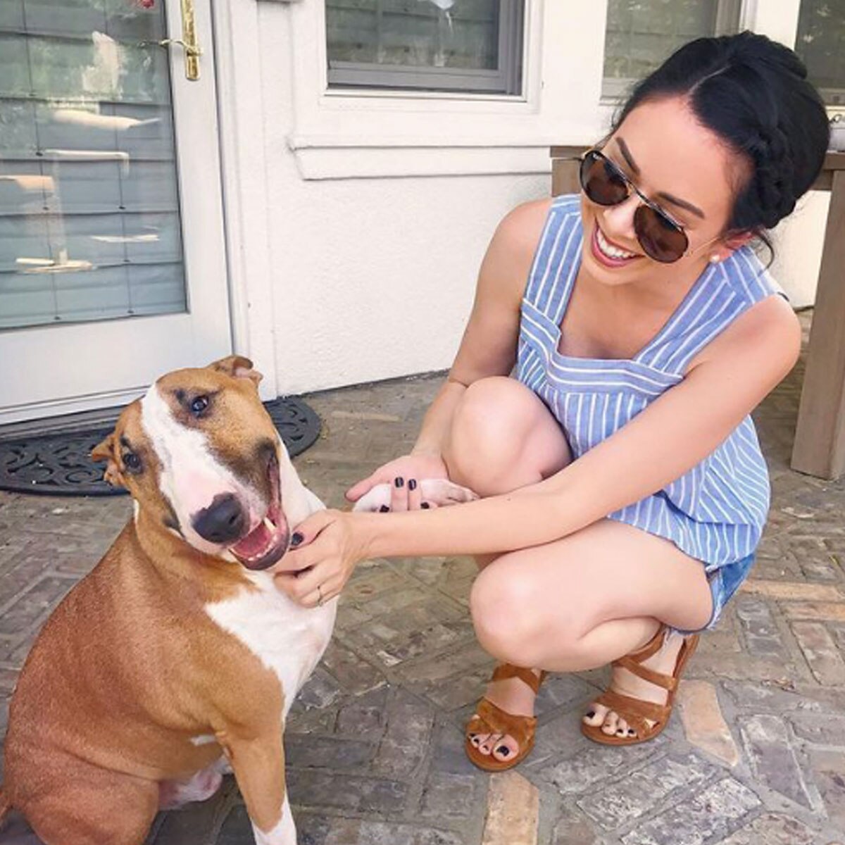 Nikki Phillippi, YouTube, Dog, Bowser