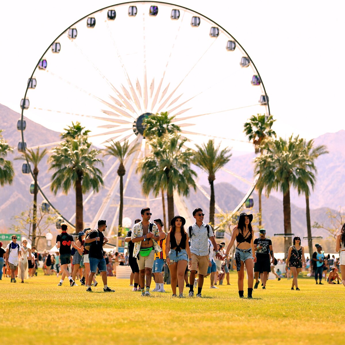 Coachella