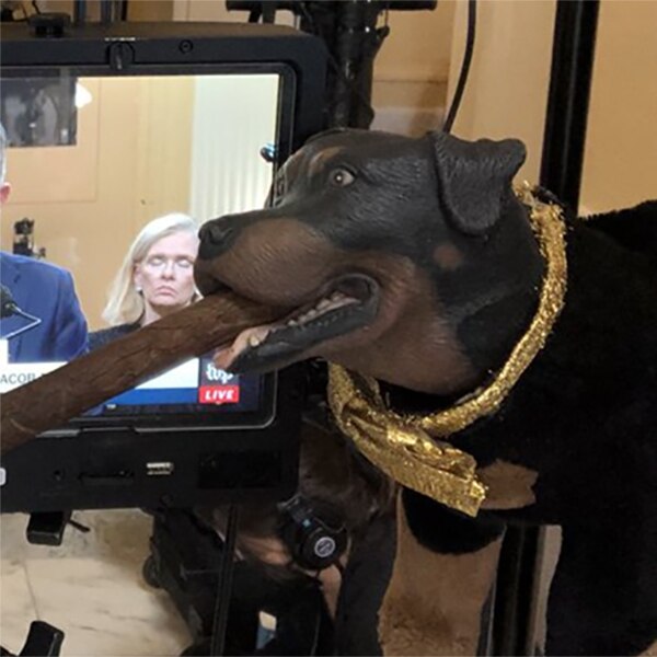 Triumph the Insult Comic Dog, Twitter