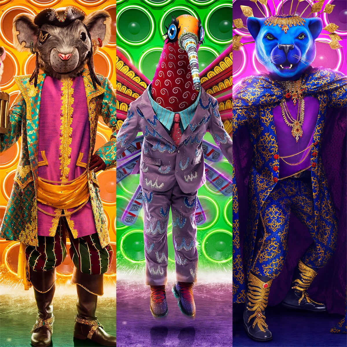 The Masked Singer, The Hummingbird, The Panther and Pi-Rat