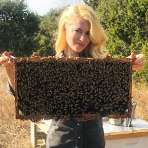 Untangling the Sticky Drama Between TikTok Beekeepers