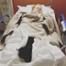 Amy Schumer, Hospital