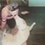 Pink, Dog