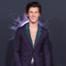 Shawn Mendes, 2019 American Music Awards, Red Carpet Fashion