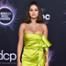 Selena Gomez, 2019 American Music Awards, Red Carpet Fashion, Fashion Police Widget