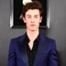 Shawn Mendes, 2019 Grammys, 2019 Grammy Awards, Red Carpet Fashions