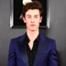 Shawn Mendes, 2019 Grammys, 2019 Grammy Awards, Red Carpet Fashions