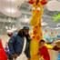 50 Cent, Son, Sire Jackson, Christmans 2019, Toys 'R' Us