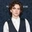 Timothee Chalamet