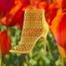E-Comm: Aldo's Spring Sale 