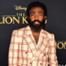 Donald Glover, The Lion King Premiere, Red Carpet Fashion