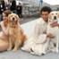 SAG Awards Red Carpet Roll Out, Joey King, Logan Browning, Dogs