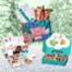 E-Comm: Subscription Boxes