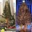 2020 Christmas in Rockefeller Center, Christmas tree lighting