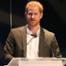 Prince Harry, Tourism Summit 