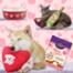 E-Comm: Gifts for Your Furry Valentine