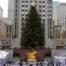  2021 Rockefeller Center Christmas Tree