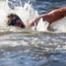 Hector Pardoe, swimming, 2020 Tokyo Olympics
