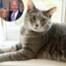 Joe Biden, Jill Biden, Cat Willow