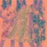Ecomm, Amazon Dress